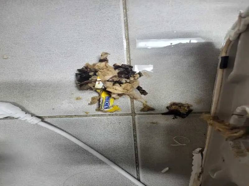 양평 배관 이물질 제거 사례 5